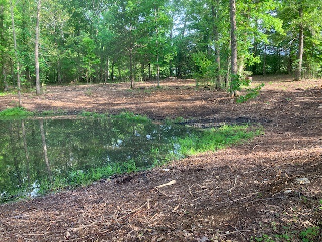 415 Thompson Road Unionville, TN 37180 - Photo 16 of 17 Gallery Image 16