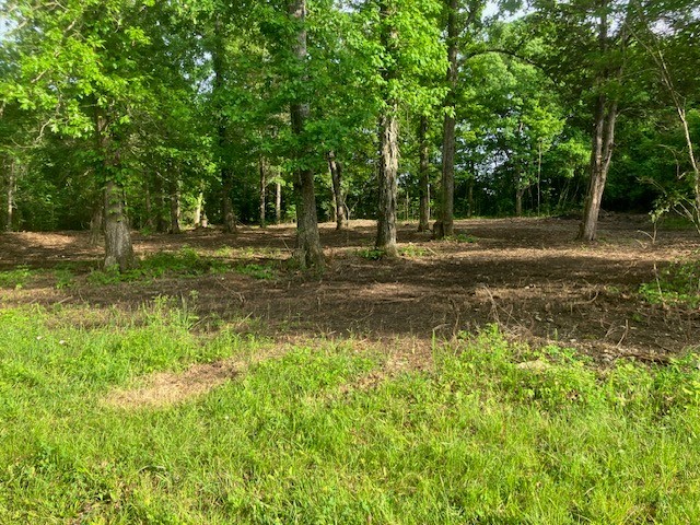 415 Thompson Road Unionville, TN 37180 - Photo 10 of 17 Gallery Image 10