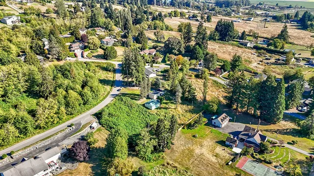 a view of a pathway of a yard