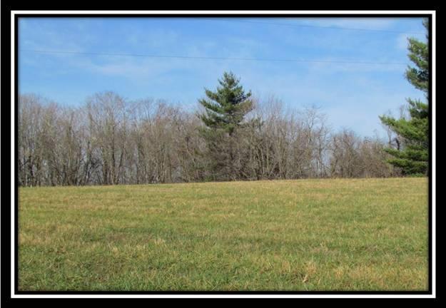 1880 East Branch Road Malta, OH 43758 - Photo 2 of 6