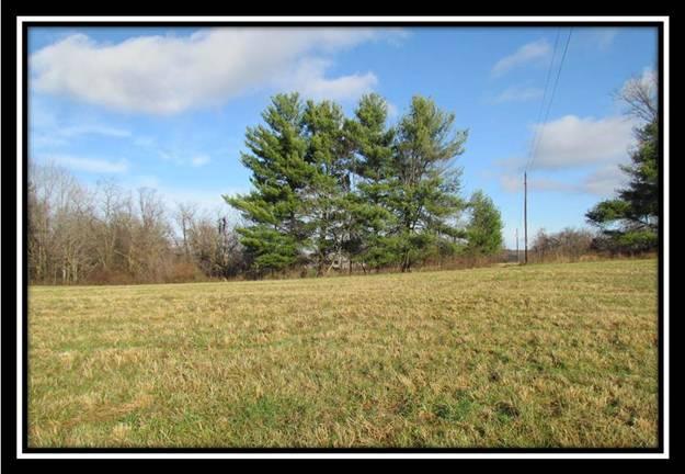 1880 East Branch Road Malta, OH 43758 - Photo 4 of 6