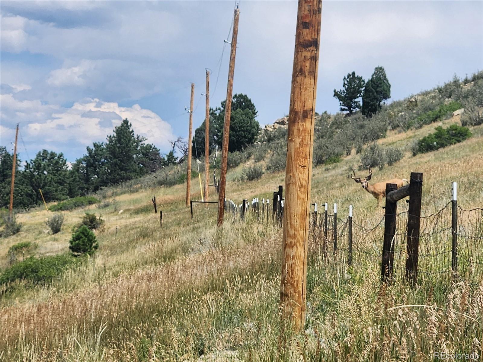 5040 Pine Ridge Road Golden, CO 80403 - Photo 37 of 41 a view of an outdoor space and swimming pool