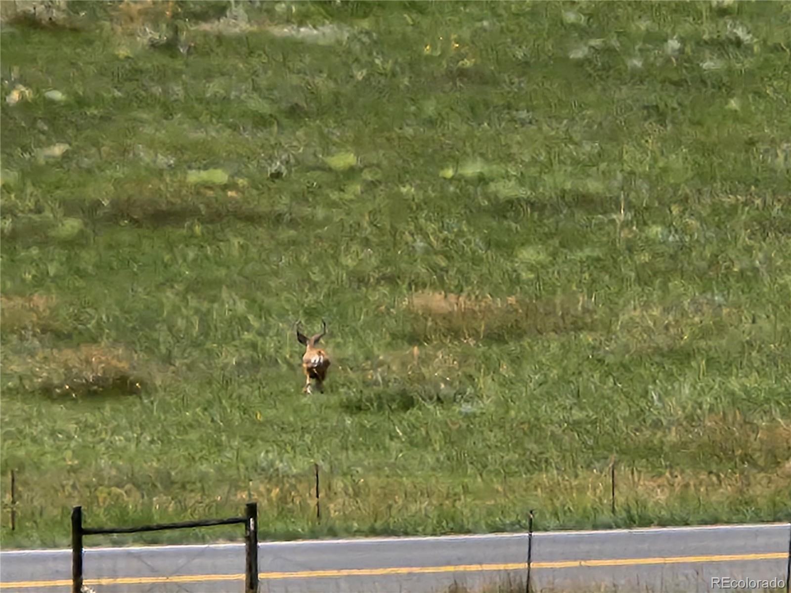 5040 Pine Ridge Road Golden, CO 80403 - Photo 38 of 41 a view of a yard from a balcony
