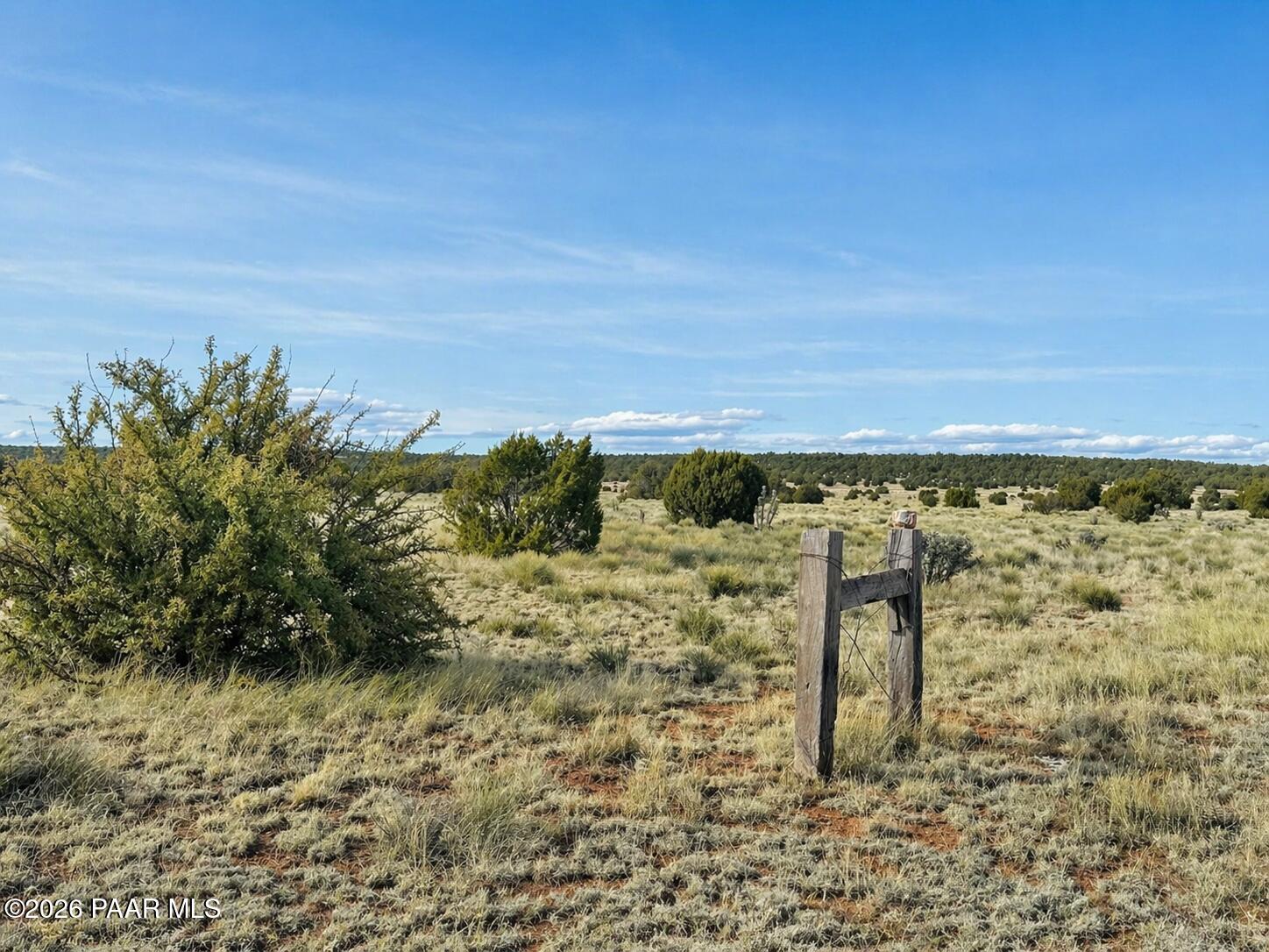 78 North Miller Road Seligman, AZ 86337 - Photo 1 of 4 a view of a yard with an ocean view