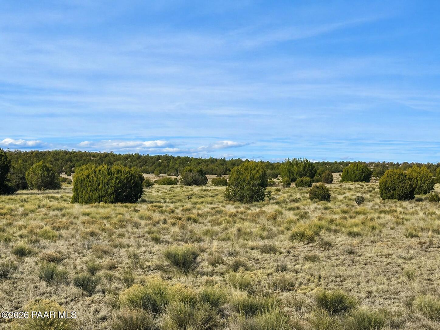 78 North Miller Road Seligman, AZ 86337 - Photo 3 of 4 a view of ocean view with beach