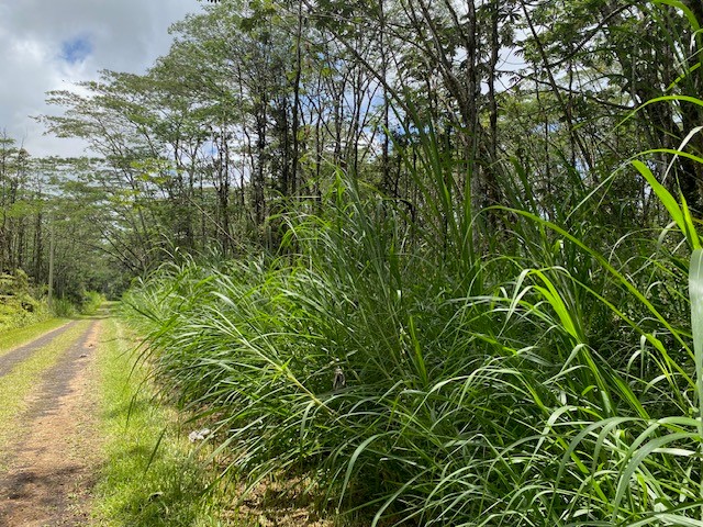 14-3525 Lot 228 Pikake Road Pahoa, HI 96778 - Photo 10 of 11