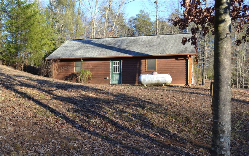 Main View