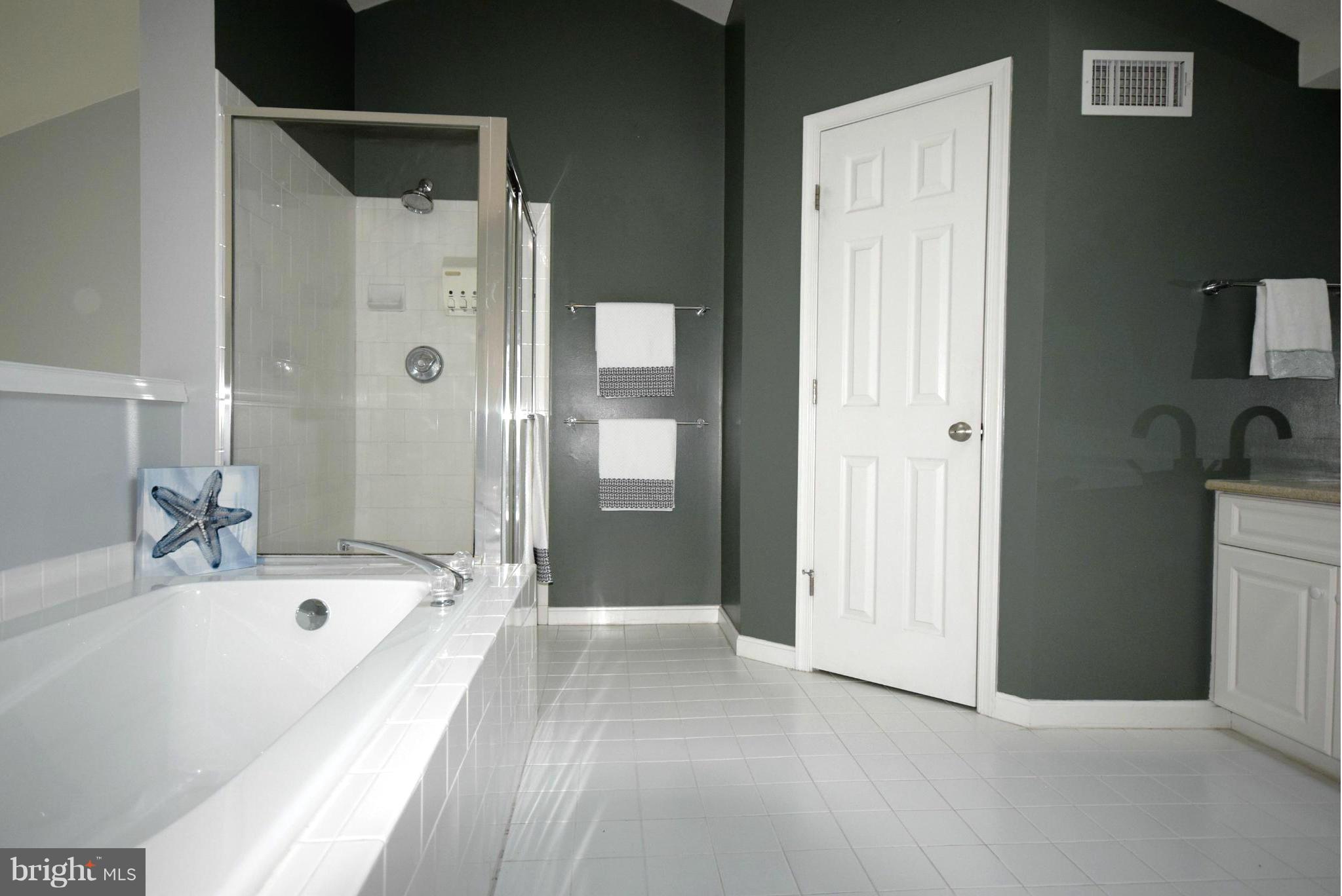 6033 Riddle Walk Alexandria, VA 22312 - Photo 15 of 29 Bath (Master)