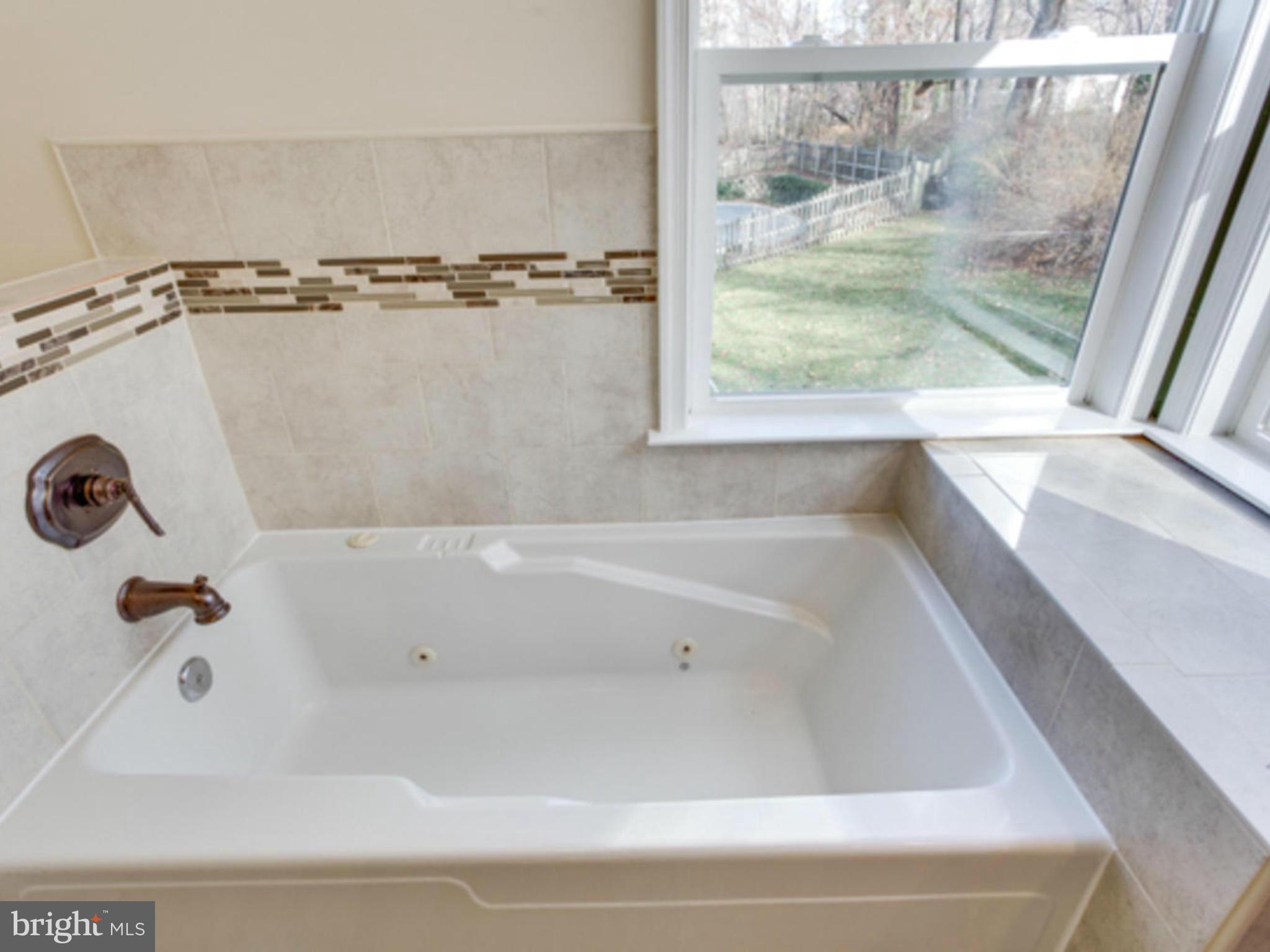 287 Locust Ridge Lane Arnold, MD 21012 - Photo 19 of 30 Bath (Master)