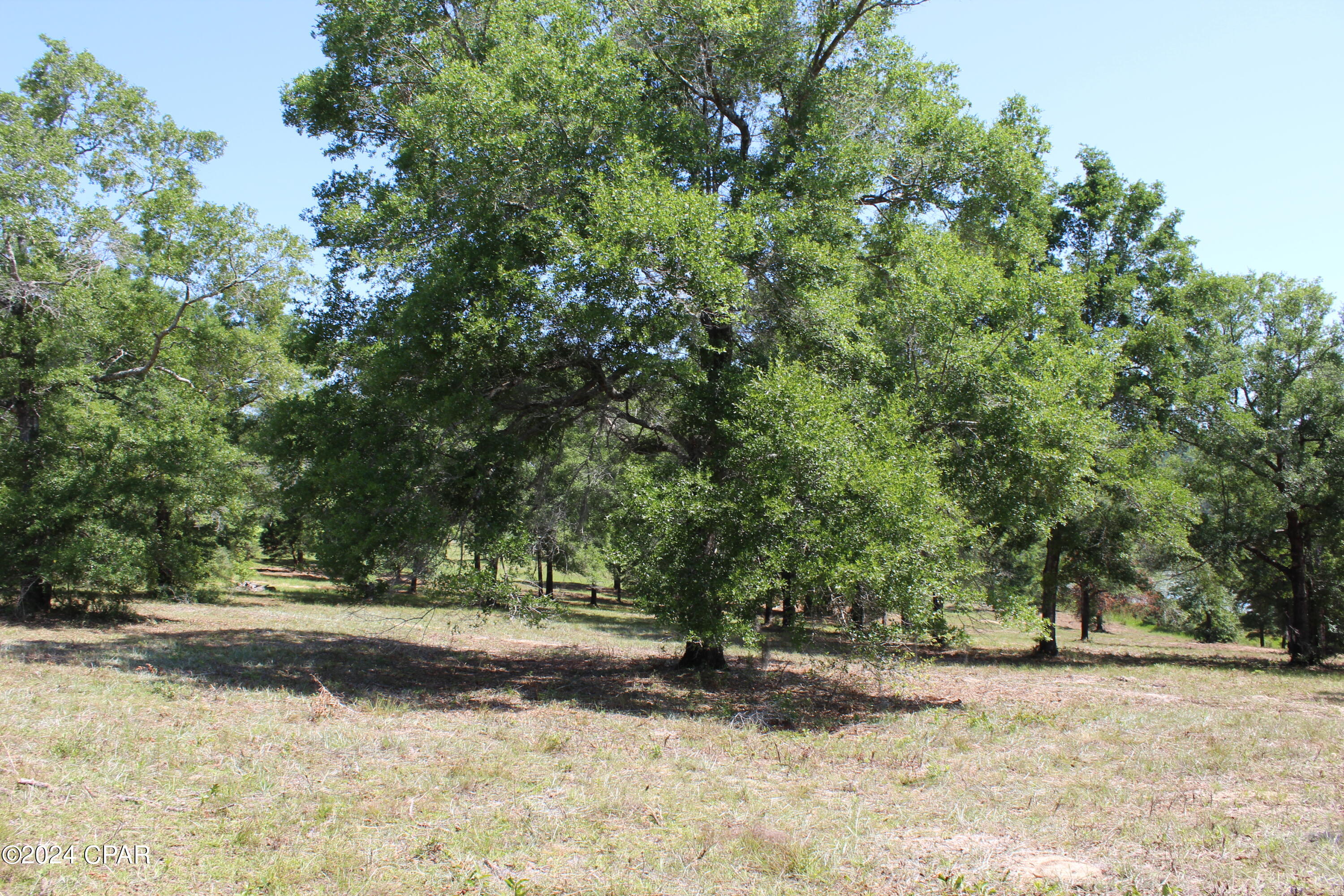 Tbd Twin Pond Road Vernon, FL 32462 - Photo 38 of 42 Gallery Image 38