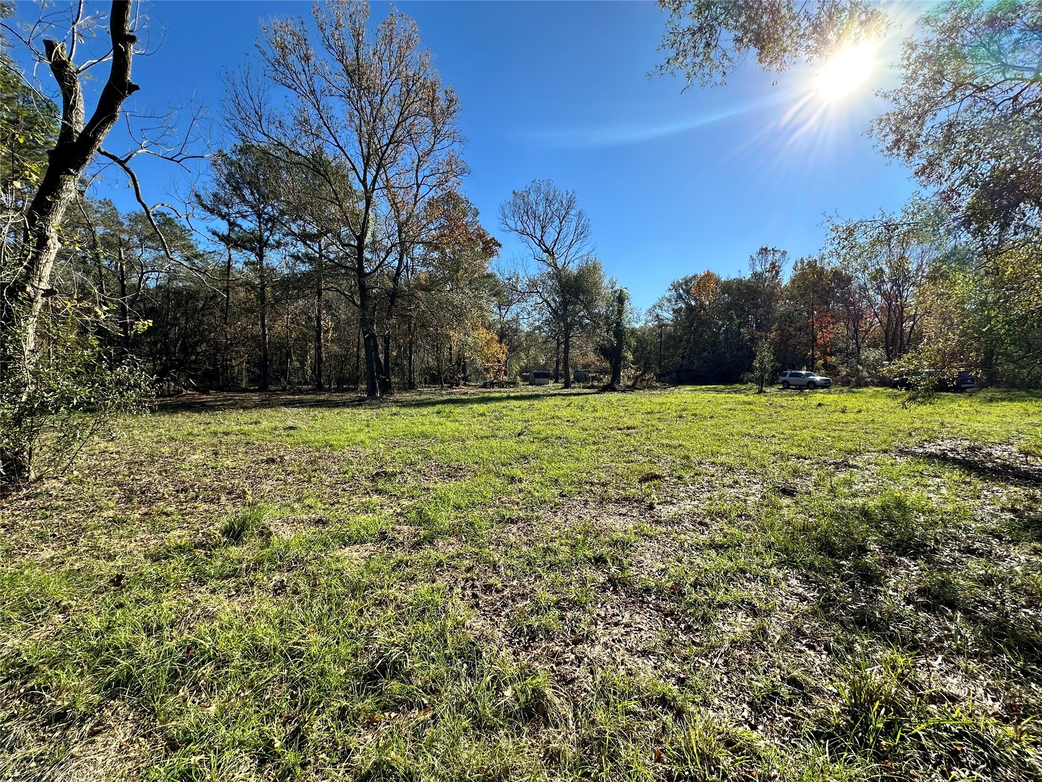 a view of a green field with trees in the background