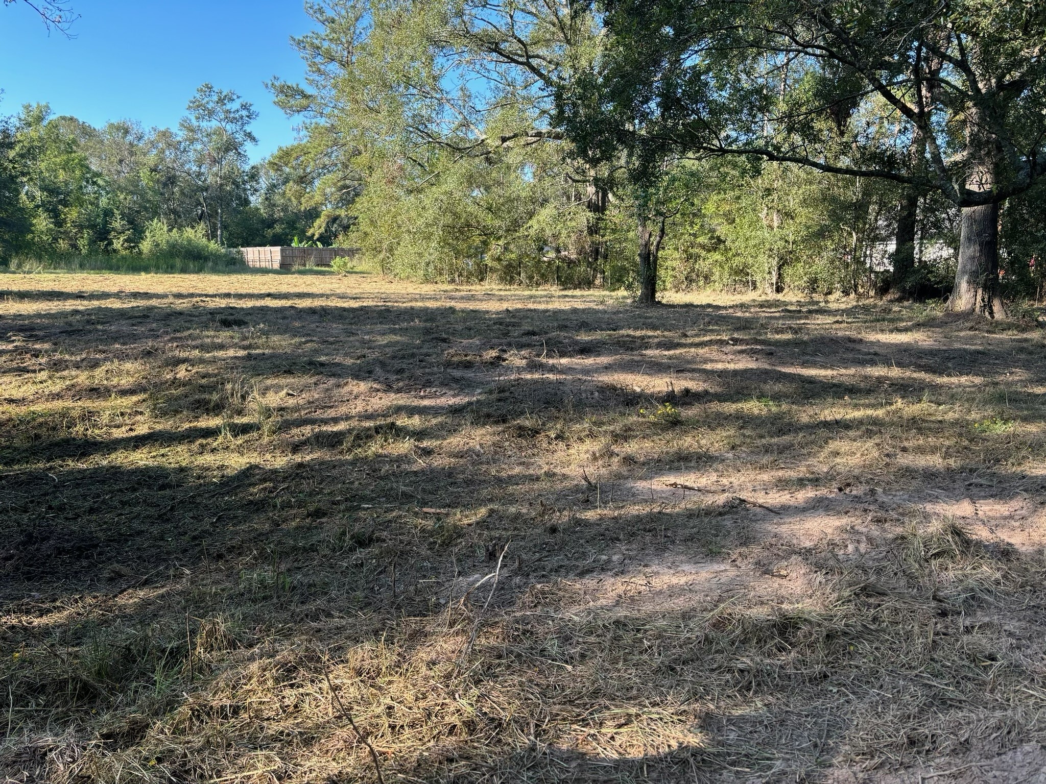 17271 South Tram Road Splendora, TX 77372 - Photo 2 of 7 a view of a yard with a large tree