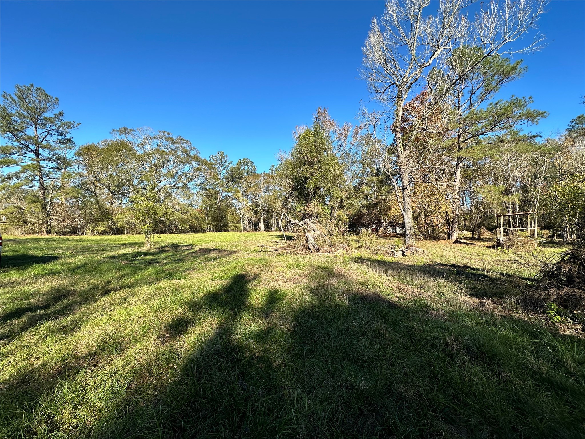 17271 South Tram Road Splendora, TX 77372 - Photo 4 of 7 a view of yard with green space