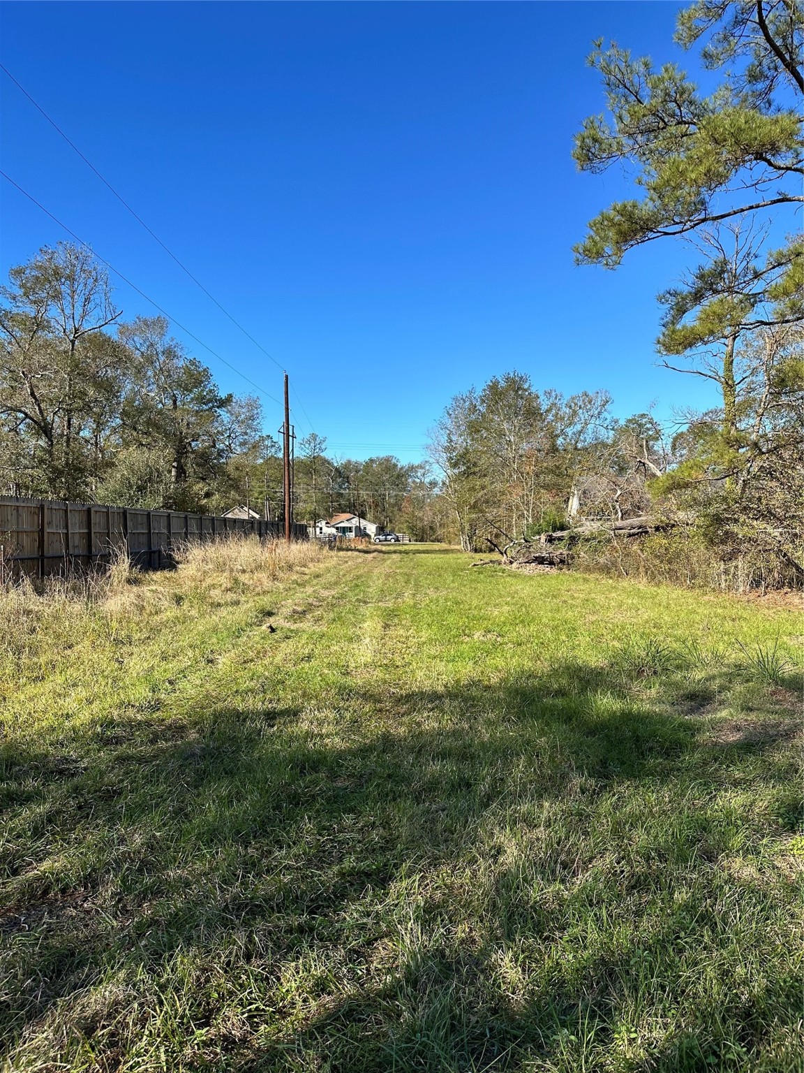 17271 South Tram Road Splendora, TX 77372 - Photo 6 of 7