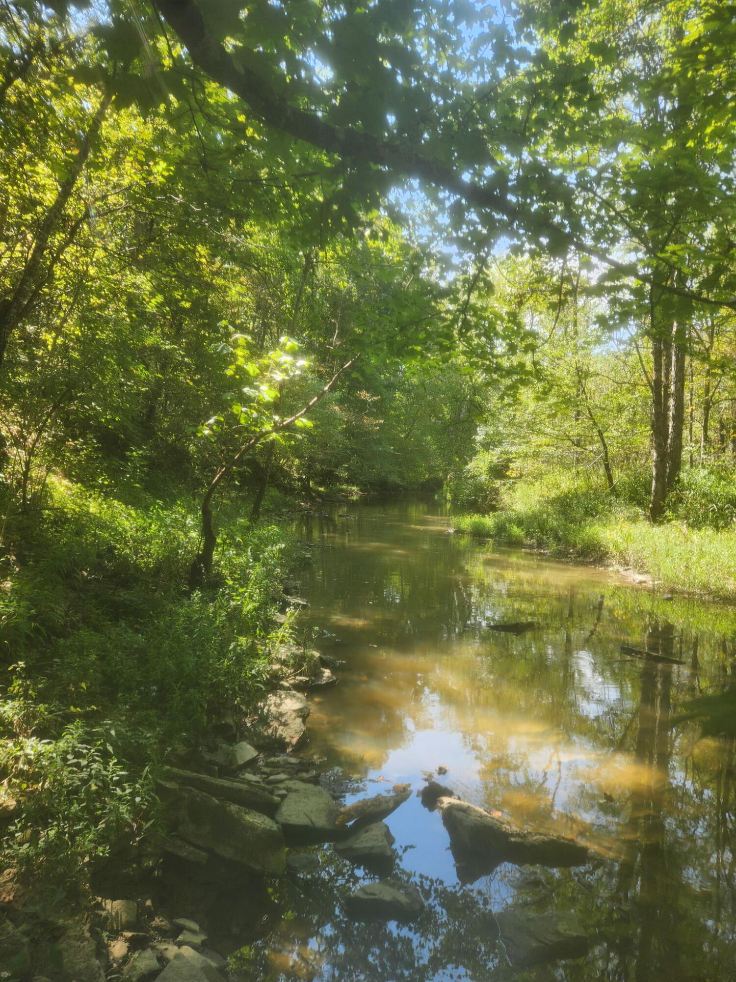3926 Hogg Ridge Road Williamstown, KY 41097 - Photo 82 of 92 1000004562
