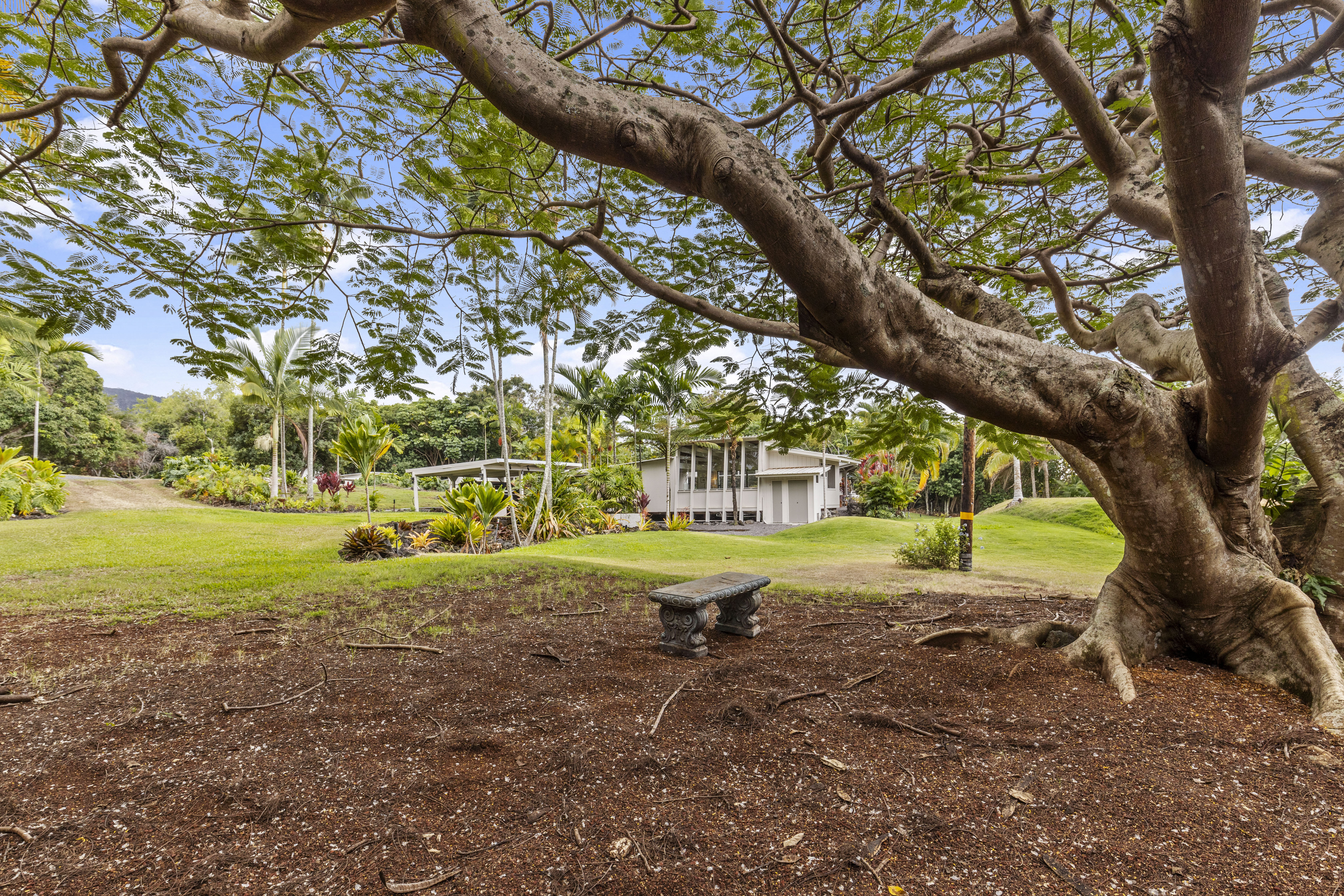 83-5369 Manako Road Captain Cook, HI 96704 - Photo 4 of 30 a view of a yard with large trees