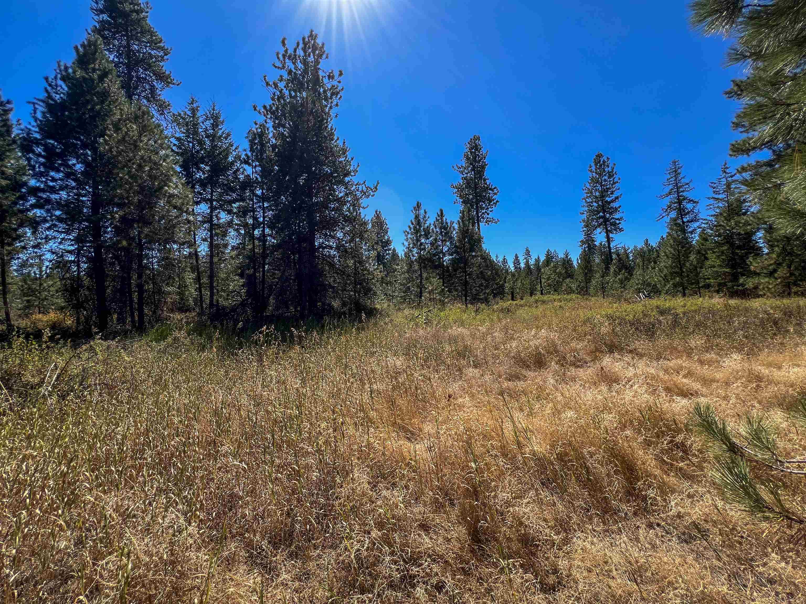 52-xx Lot 2 South Swenson Road Deer Park, WA 99006 - Photo 7 of 29 Gallery Image 7