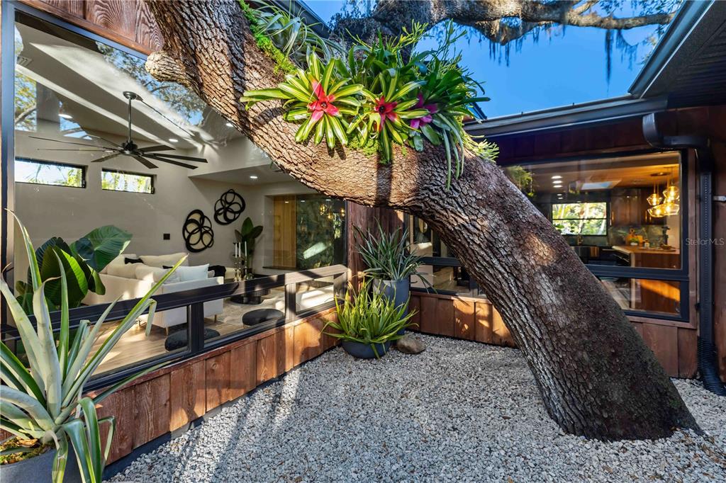 4534 Banan Place Siesta Key, FL 34242 - Photo 5 of 77