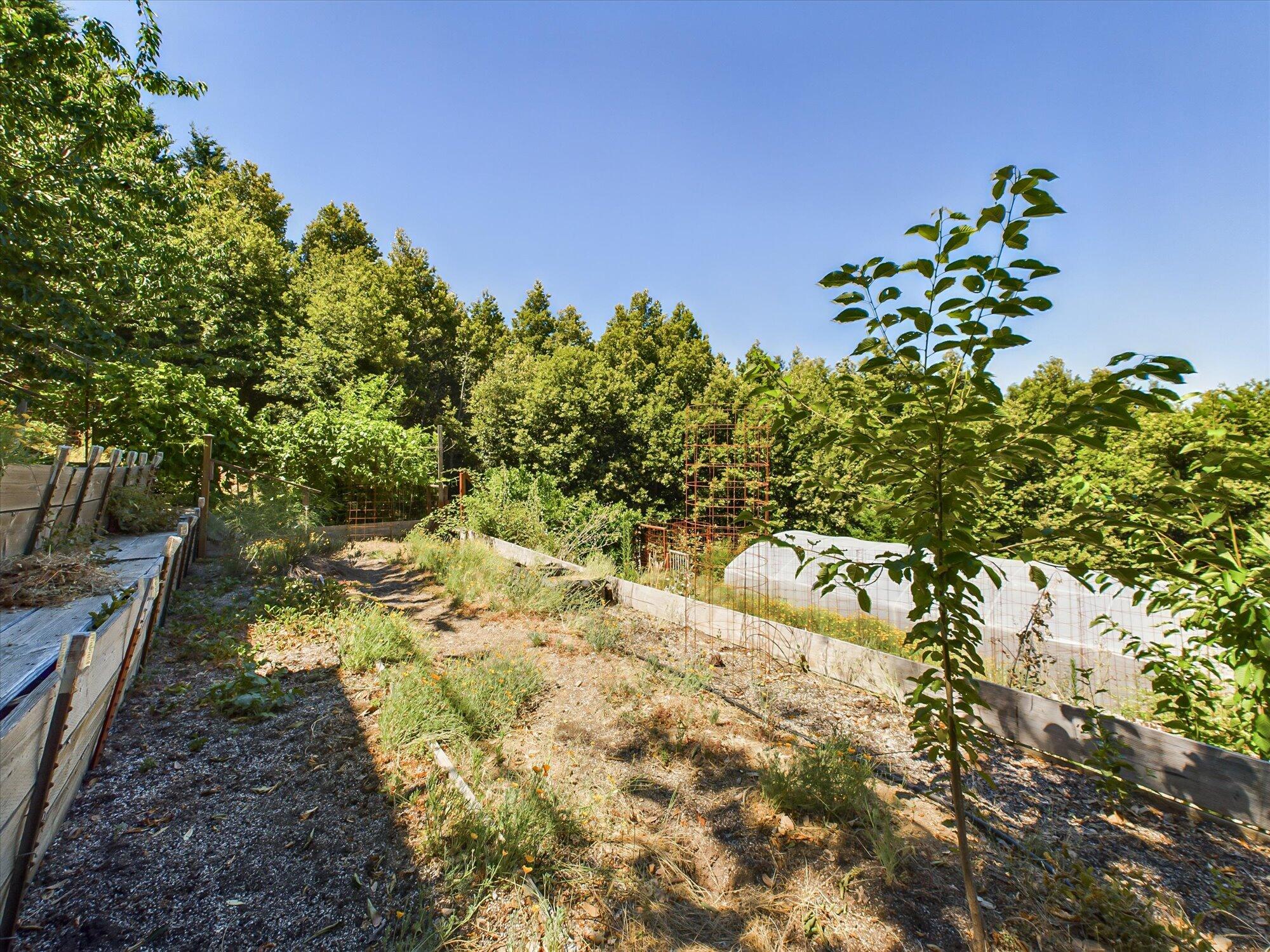 299 Cook Road Shelter Cove, CA 95589 - Photo 65 of 73 65-299 Cook Road Shelter Cove-162