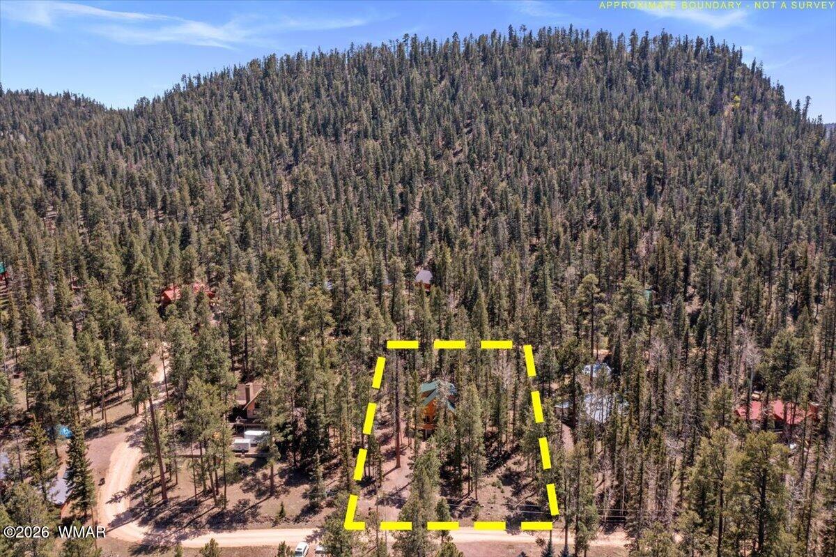 6 County Road Alpine, AZ 85920 - Photo 27 of 33