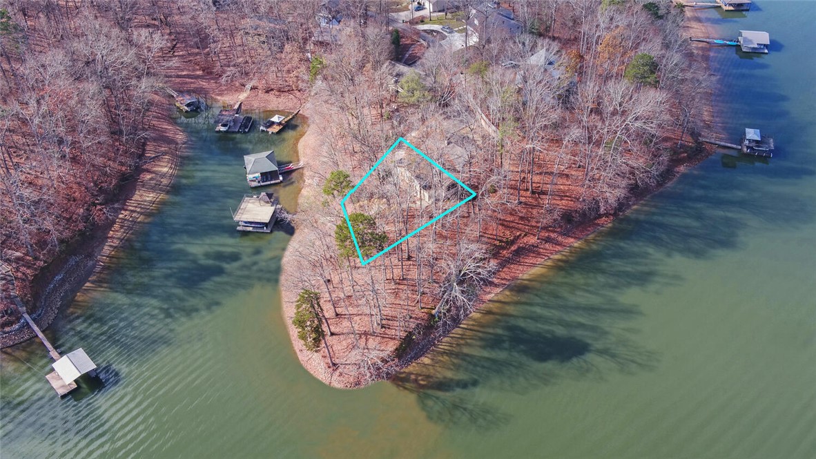 114 Blue Ridge Place Lavonia, GA 30553 - Photo 2 of 46 Point Lot