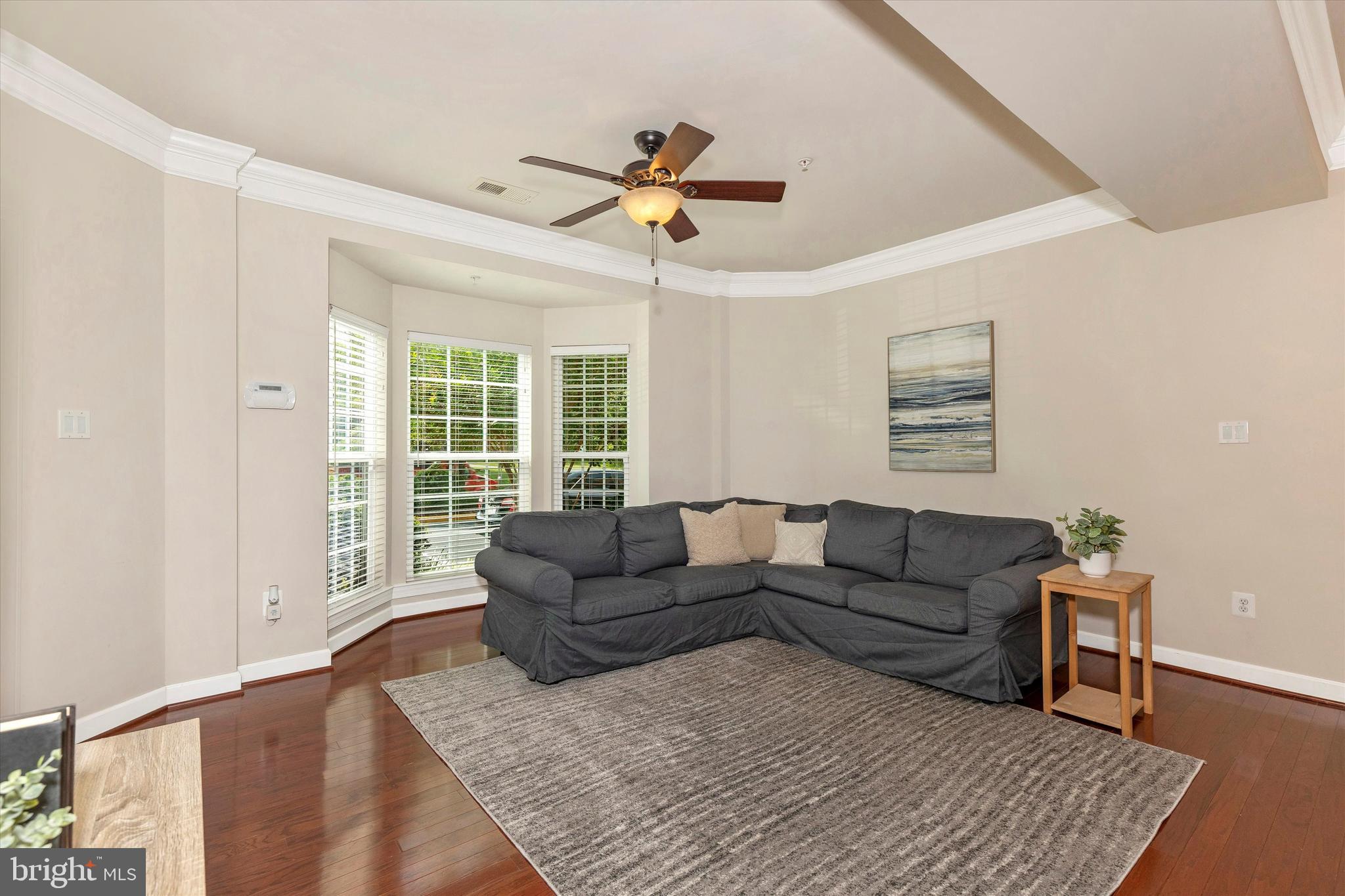 3616 Holborn Place Frederick, MD 21704 - Photo 5 of 56 Living room with natural lighting
