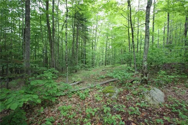 $100,000 | 41 Patriot Lane, Litchfield, ME 04350