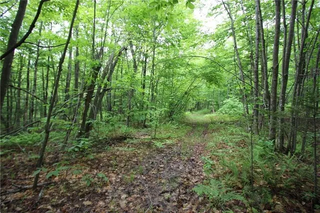 $100,000 | 41 Patriot Lane, Litchfield, ME 04350