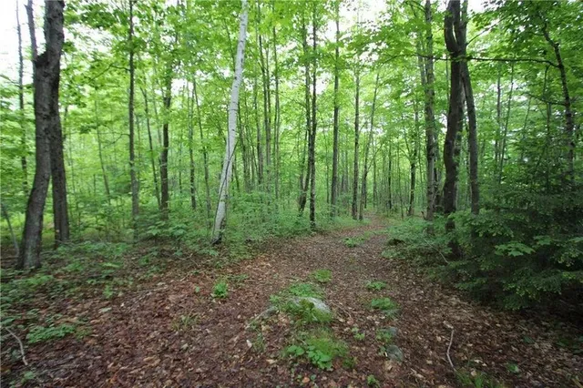 $100,000 | 41 Patriot Lane, Litchfield, ME 04350