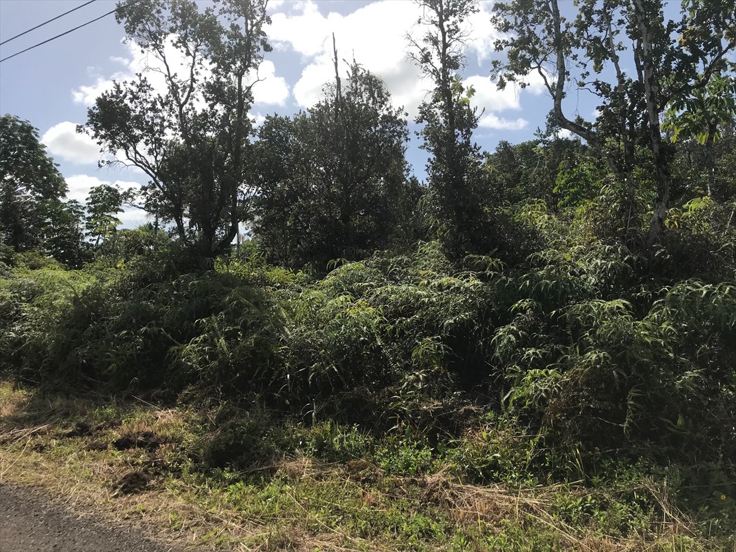 103 Ama U Road Keaau, HI 96749 - Photo 1 of 3 Gallery Image 1
