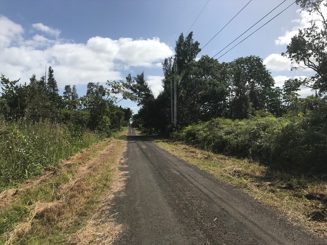 103 Ama U Road Keaau, HI 96749 - Photo 3 of 3 Gallery Image 3