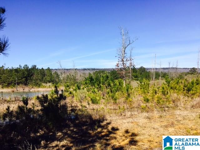 0 Barron Street Steele, AL 35987 - Photo 12 of 14