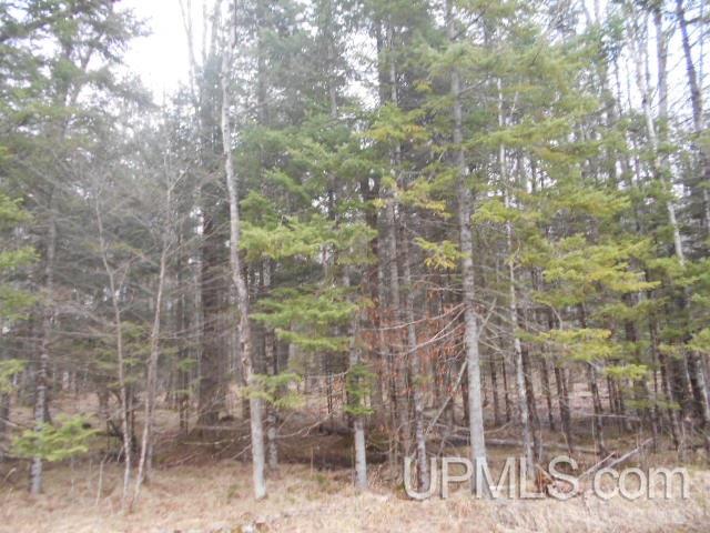 Tbd Cross Cut Road, Unit 9 Florence, WI 54121 - Photo 2 of 4