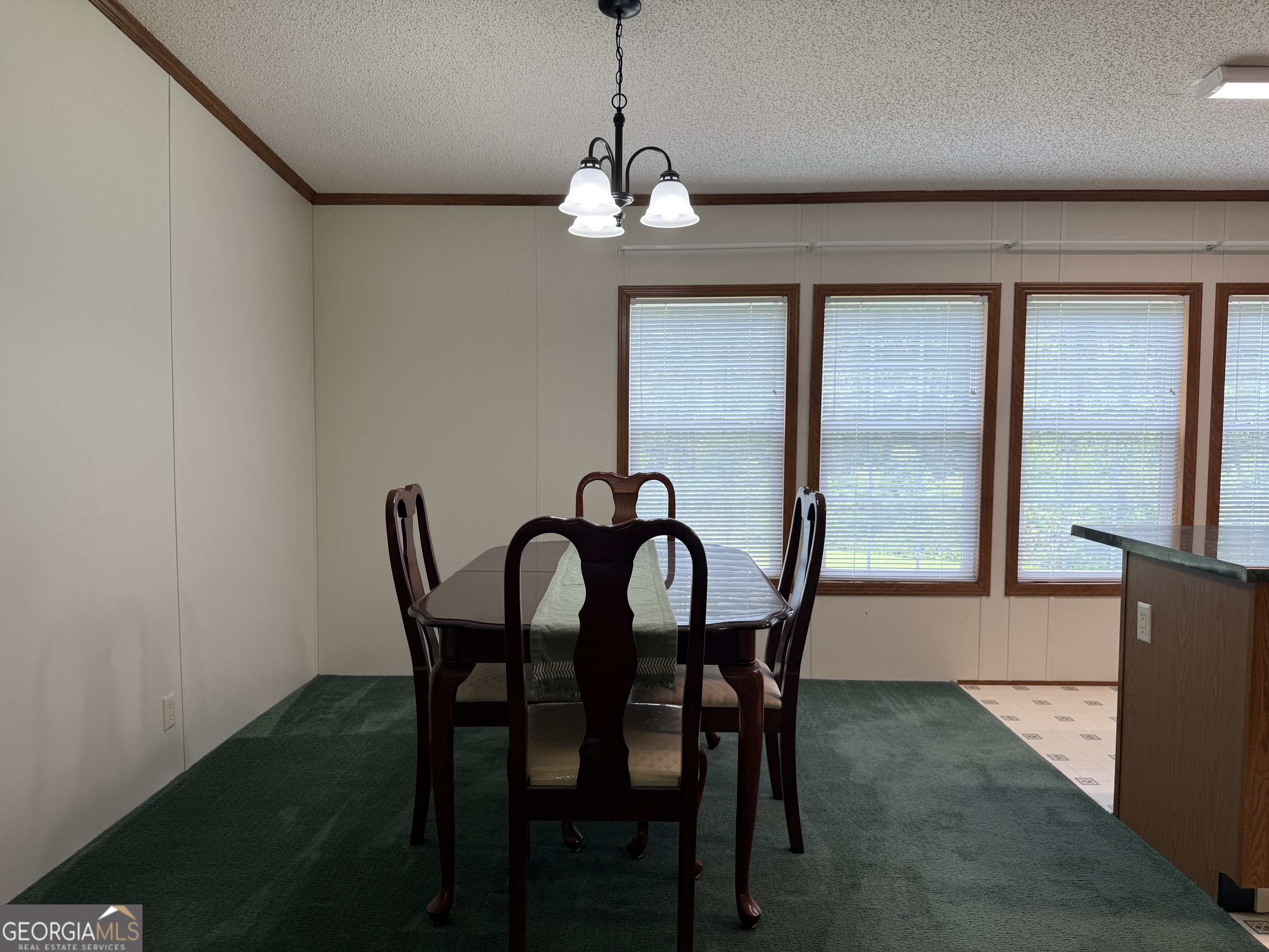 3879 East White Oak Road Appling, GA 30802 - Photo 7 of 26
