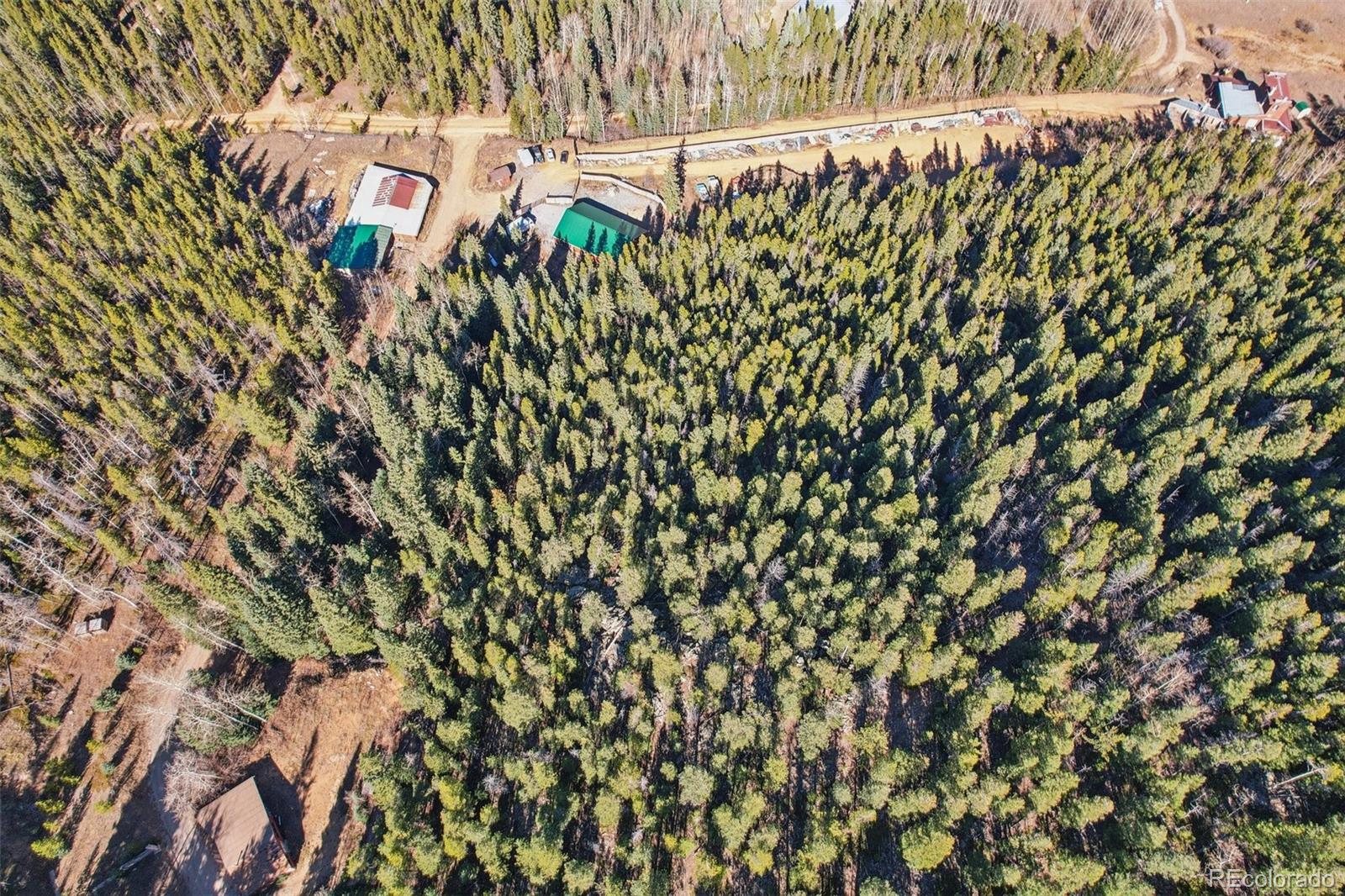 4628 Smith Hill Road Golden, CO 80403 - Photo 33 of 49 a close up of a plant