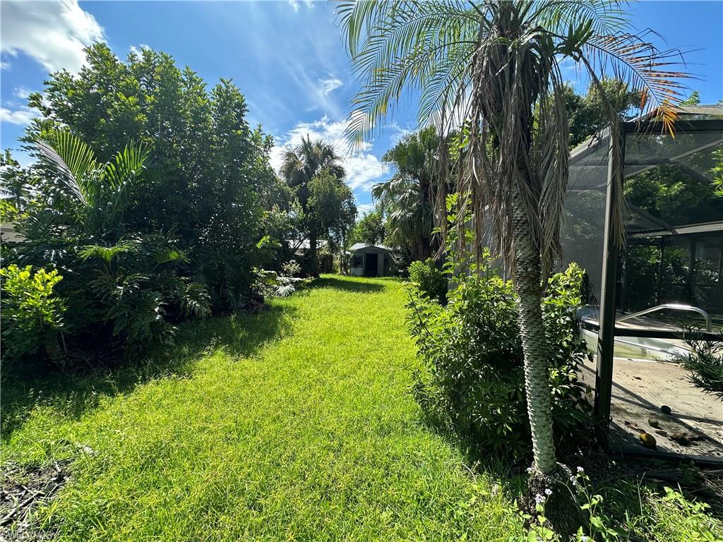 1132 Donald Road North Fort Myers, FL 33917 - Photo 8 of 21 a view of a yard with plants and large trees