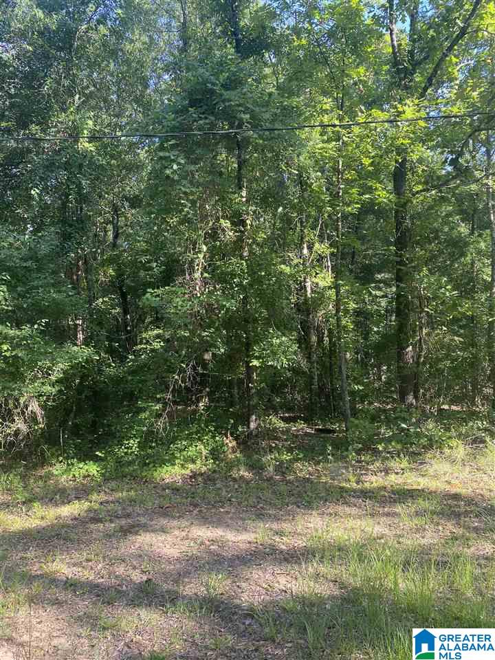 424 Cedar Springs Road West Blocton, AL 35184 - Photo 20 of 26 Gallery Image 20