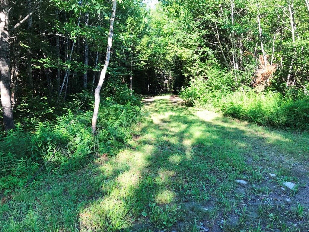 Tbd B&a Railroad North Road North Shirley, ME 04485 - Photo 4 of 22 Photo