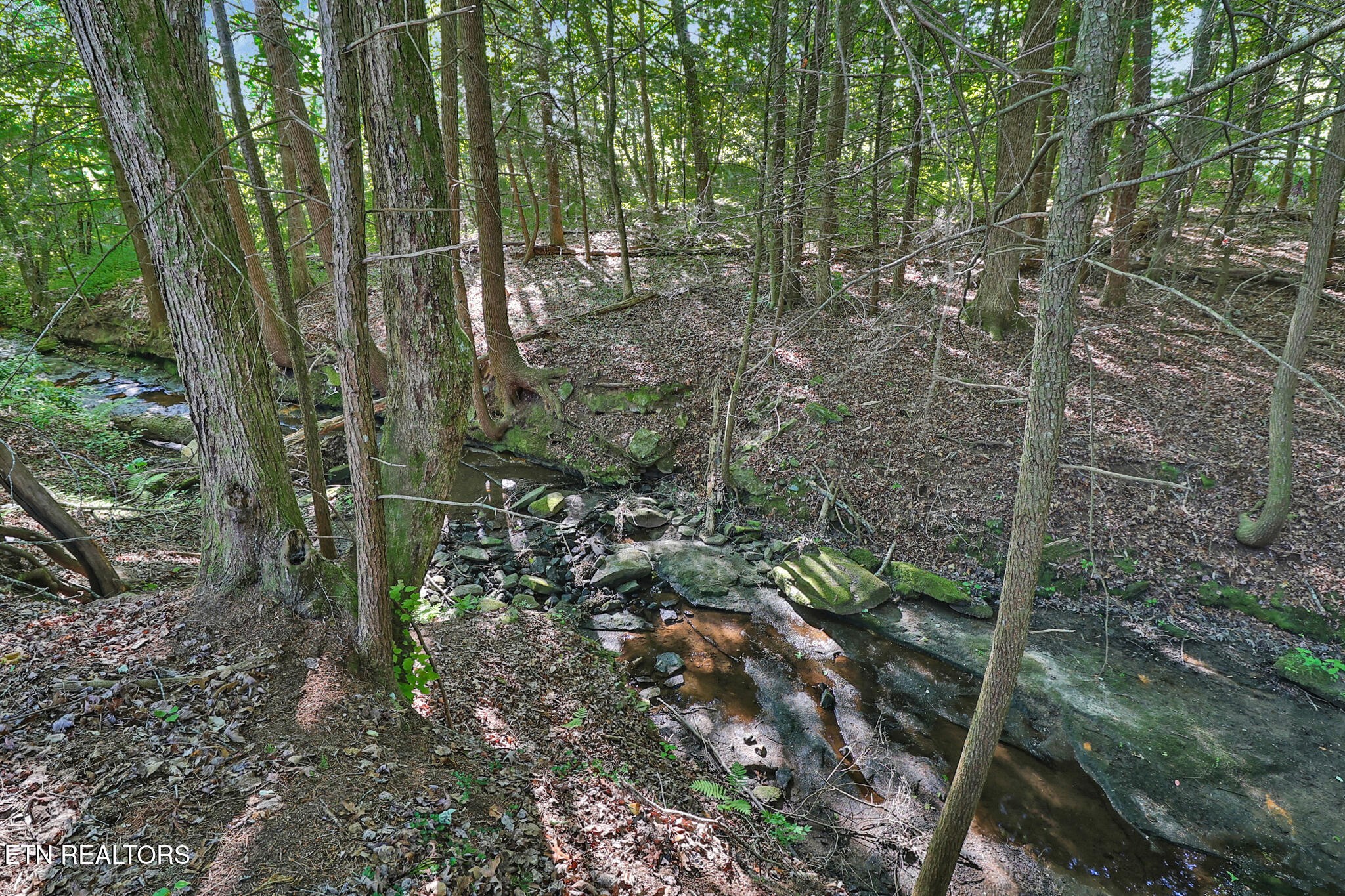 1452 Model Farm Road Jamestown, TN 38556 - Photo 38 of 38
