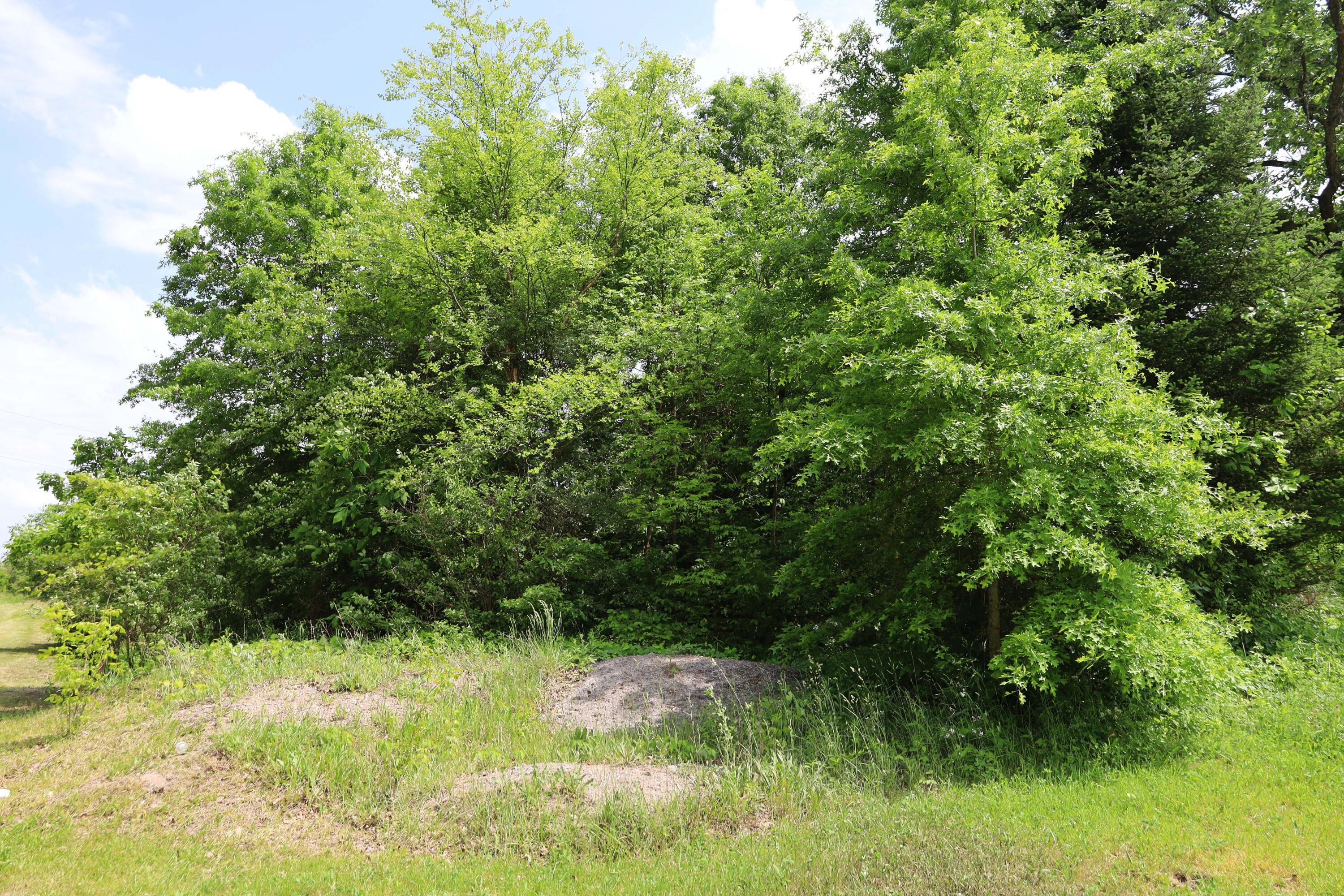 0 Schoolhouse Road Frazeysburg, OH 43822 - Photo 14 of 31 IMG_9574