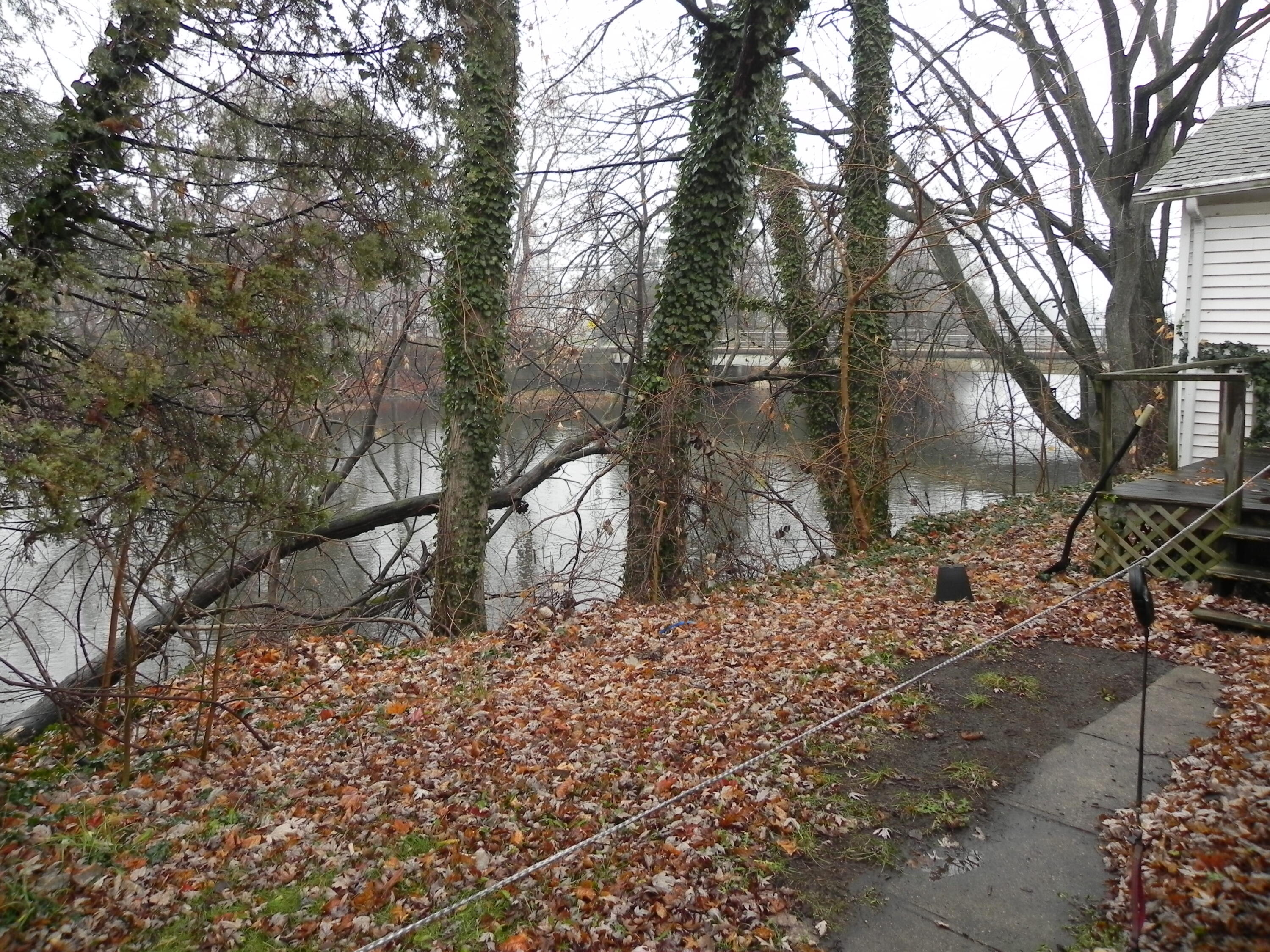 518 River Street Three Rivers, MI 49093 - Photo 10 of 11 DSCN2588