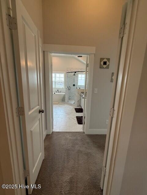 203 Farmstead Loop Moyock, NC 27958 - Photo 47 of 75 VIEW FROM HALLWAY INTO PRIMARY SUITE.