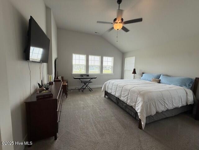 203 Farmstead Loop Moyock, NC 27958 - Photo 49 of 75 PRIMARY BEDROOM WITH VAULTED CEILING AND AMPLE SQUARE FOOTAGE. SUNNY, NATURAL LIGHT IS EVERYWHERE THIS PICTURE-PERFECT HOME.