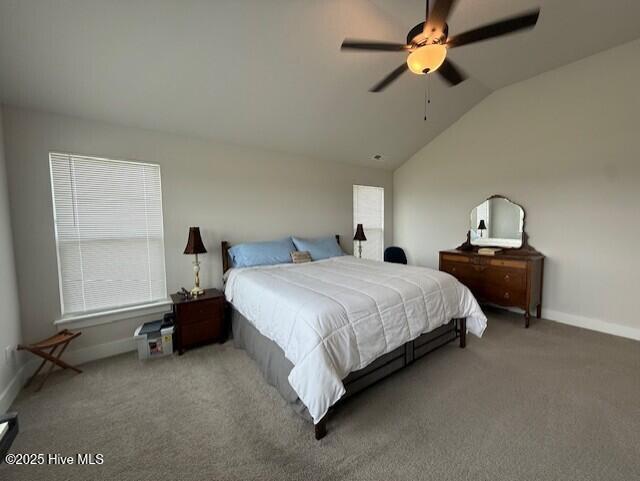 203 Farmstead Loop Moyock, NC 27958 - Photo 51 of 75 PRIMARY BEDROOM WITH VAULTED CEILING AND AMPLE SQUARE FOOTAGE. SUNNY, NATURAL LIGHT IS EVERYWHERE THIS PICTURE-PERFECT HOME.