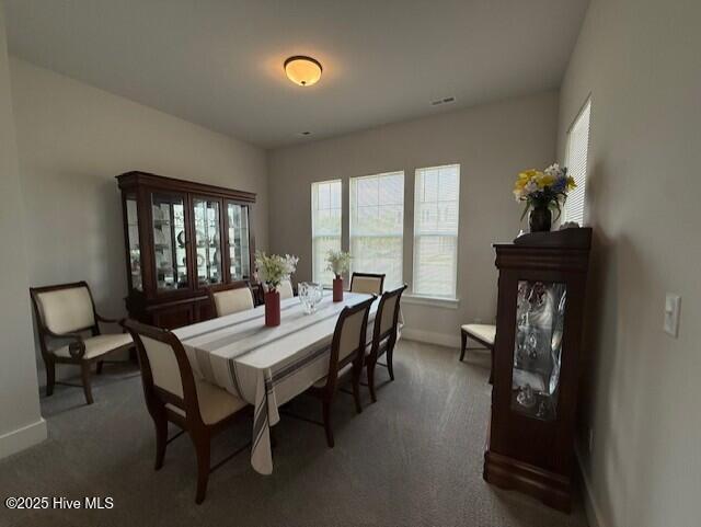 203 Farmstead Loop Moyock, NC 27958 - Photo 7 of 75 DINING ROOM WITH CLOSET/STORAGE AND ACCESS TO HALL BATHROOM
