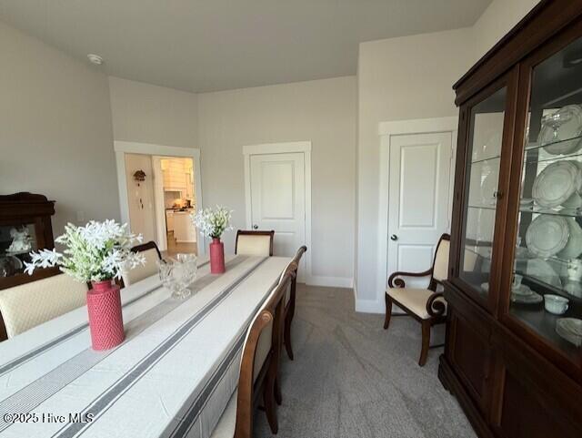 203 Farmstead Loop Moyock, NC 27958 - Photo 8 of 75 DINING ROOM WITH CLOSET/STORAGE AND ACCESS TO HALL BATHROOM