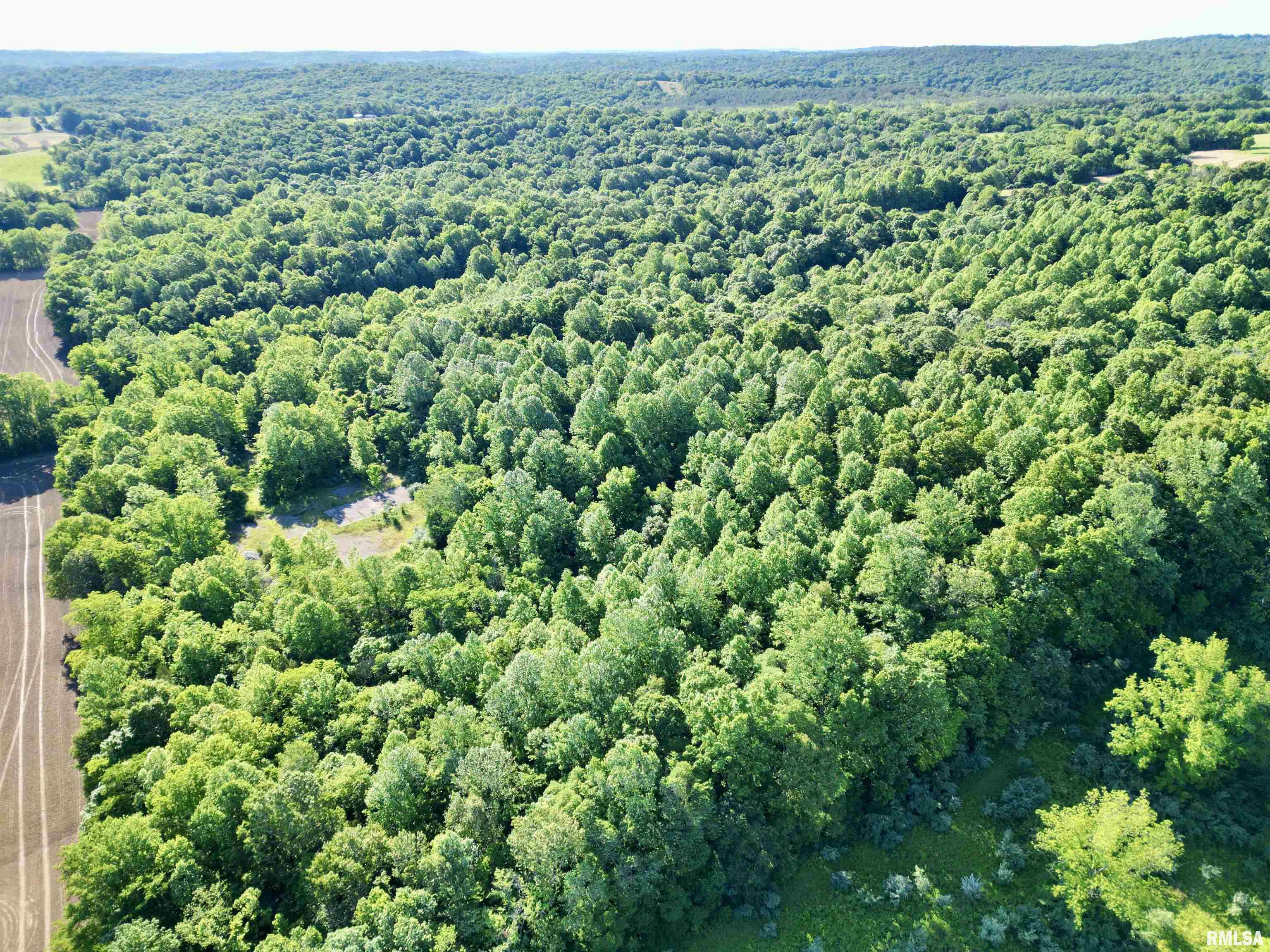 0 Yellow Springs Road Elizabethtown, IL 62931 - Photo 1 of 28