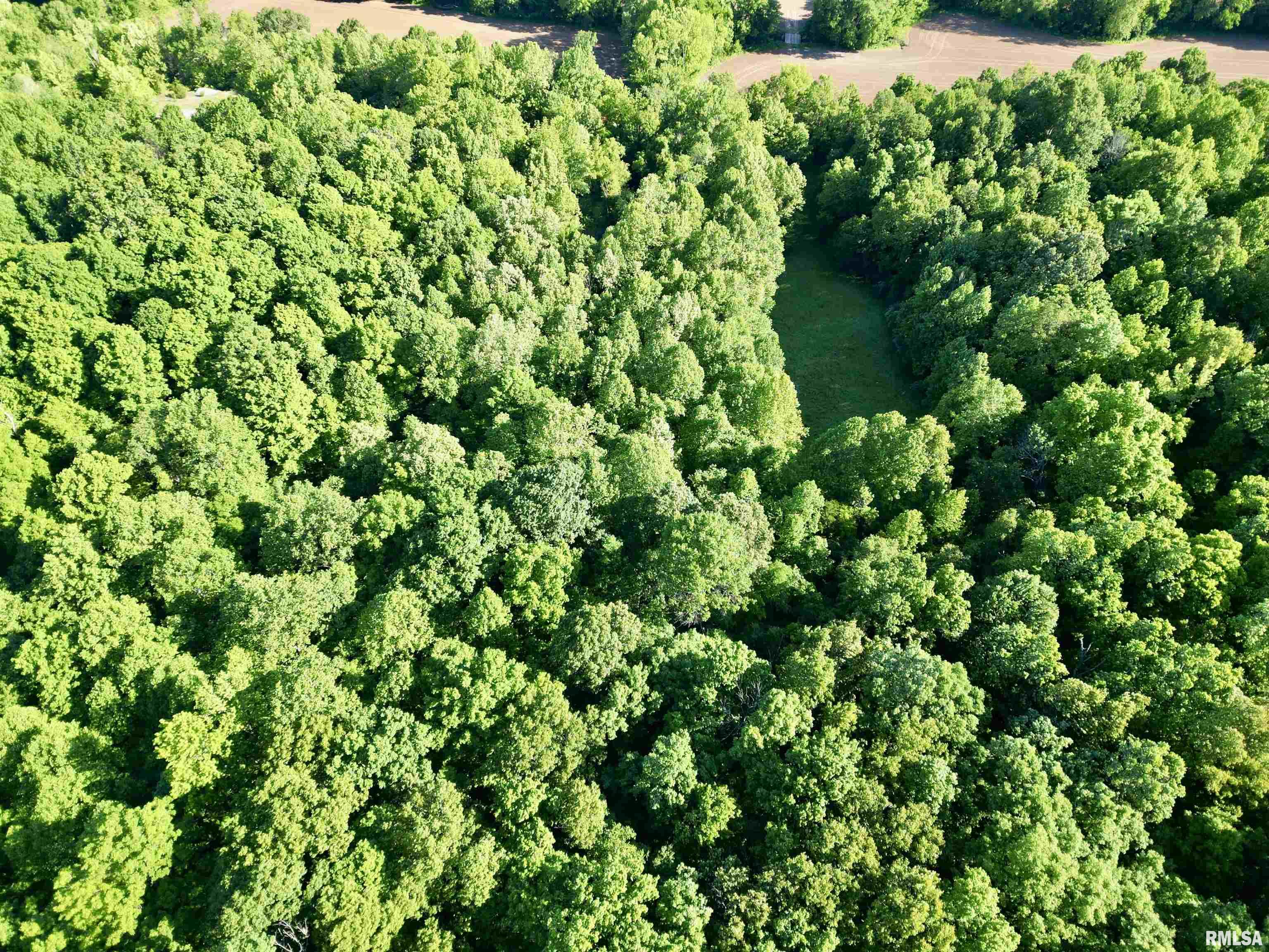 0 Yellow Springs Road Elizabethtown, IL 62931 - Photo 11 of 28