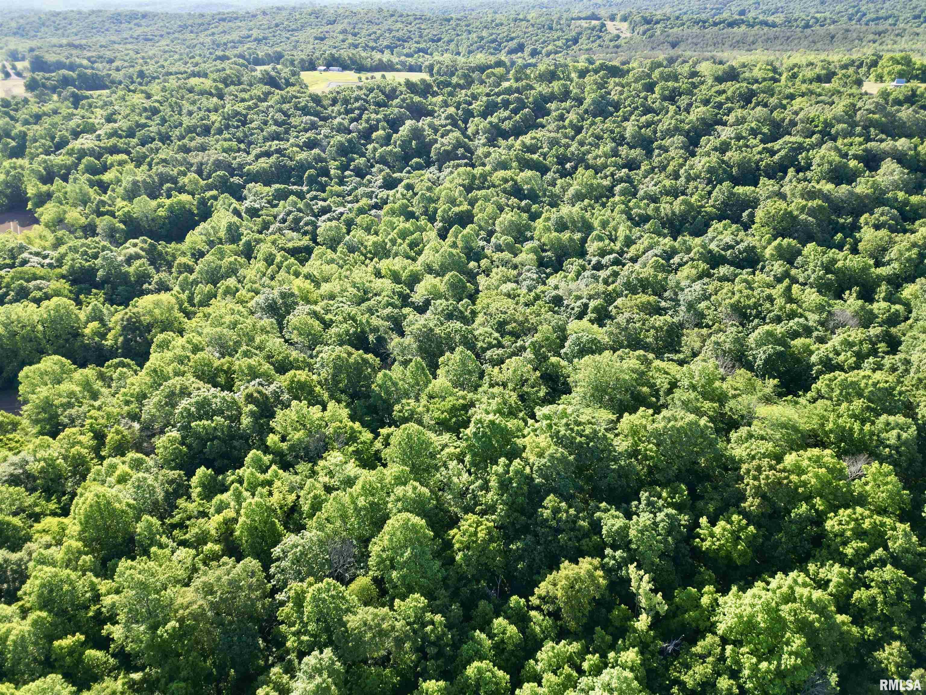 0 Yellow Springs Road Elizabethtown, IL 62931 - Photo 13 of 28
