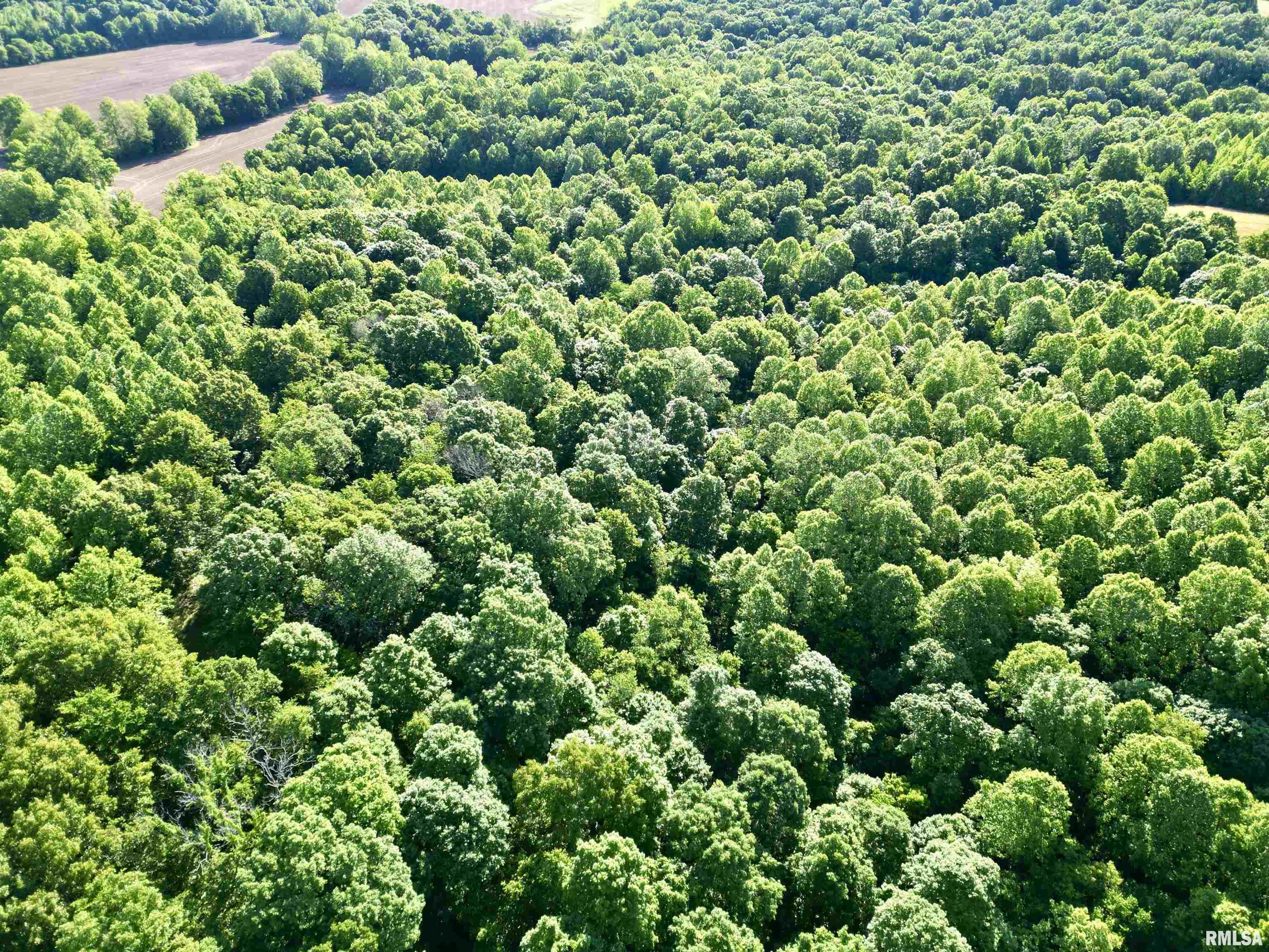0 Yellow Springs Road Elizabethtown, IL 62931 - Photo 14 of 28